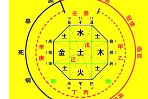 金忌|生辰八字算命、五行喜用神查詢（免費測算）